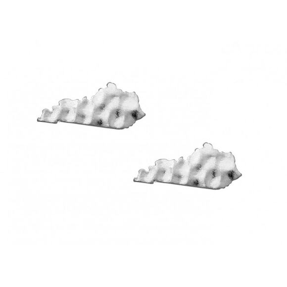 Kentucky Hammered Silver Stud Earrings - Picture 1 of 1